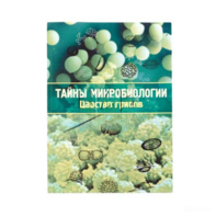 Набор «Тайны микробиологии» (Царство грибов) - fgospostavki.ru - Рязань