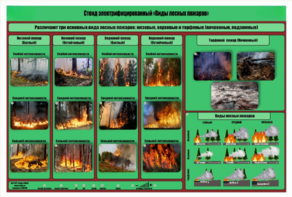 Стенд-планшет электрифицированный «Виды лесных пожаров»  - fgospostavki.ru - Рязань