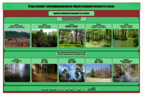 Стенд-планшет электрифицированный «Оценка пожарной опасности в лесах»  - fgospostavki.ru - Рязань