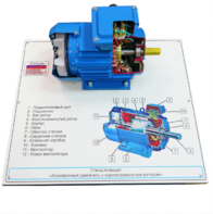 Стенд-планшет «Асинхронный двигатель с короткозамкнутым ротором» - fgospostavki.ru - Рязань