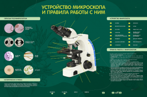 Электрифицированный стенд "Устройство микроскопа и правила работы c ним" - fgospostavki.ru - Рязань
