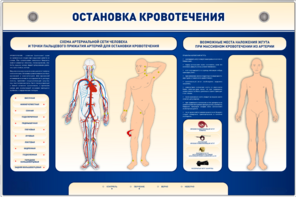 Электрифицированный стенд-тренажер "Остановка кровотечения" - fgospostavki.ru - Рязань