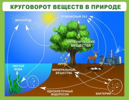 Стенд "Круговорот веществ" - fgospostavki.ru - Рязань