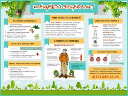 Стенд "Клещевой энцефалит" - fgospostavki.ru - Рязань