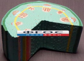 Модель "Стебель растения" - fgospostavki.ru - Рязань