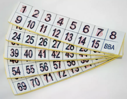 Фишки для игры «Бинго» со шрифтом Брайля - fgospostavki.ru - Рязань