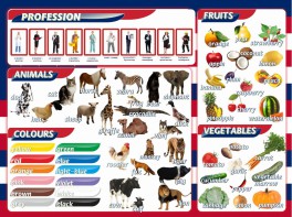 Стенд "Цвета, животные, профессии, фрукты, овощи" - fgospostavki.ru - Рязань