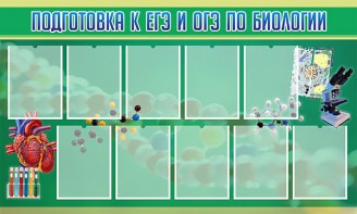 Стенд "Подготовка к ЕГЭ и ОГЭ по биологии" Вариант 2 - fgospostavki.ru - Рязань