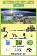 Стенд "Уровни организации живого" - fgospostavki.ru - Рязань