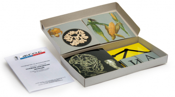 Модель-аппликация "Основные направления эволюции" (набор из 33 карт) - fgospostavki.ru - Рязань