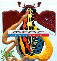 Модель барельефная "Внутреннее строение жука" - fgospostavki.ru - Рязань