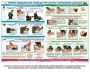 Комплект плакатов "Оказание первой доврачебной медицинской помощи" - fgospostavki.ru - Рязань