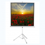 Экран на штативе DSKD-1105  - fgospostavki.ru - Рязань