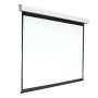 Экран настенный с электроприводом DSEF-16909 - fgospostavki.ru - Рязань