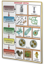 Плакаты по биологии для оформления кабинета. - fgospostavki.ru - Рязань